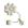 Branco creme T