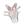 Branco rosa