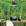 JARDIM VERTICAL 03