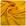 Amarelo Ouro