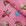 Barbie Pink