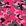 Camuflado Rosa - Ref. 2799V01