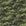 Camuflado Verde 2648V02