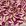 Floral fucsia com bege
