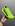 Verde Neon