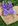 Roxo