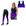 Preto roxo