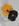 PRETO AMARELO