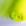 Amarelo Limão