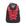 Chicago bulls
