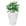 Branco Offwhite