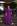 Roxo, Preto