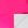 Pink Neon