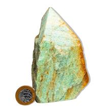 01 Aventurina Verde Pé e Bico Serrado 0.9-1.1kg Tipo B