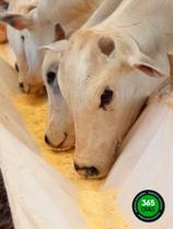 01 bag cocho para confinamento - 5 metros