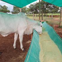 01 bag cocho para confinamento - 5 metros