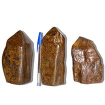 01 Bronzita Pé Bico e Corpo Polido 1 a 2Kg Aprox 17cm Tipo B