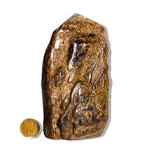 01 Bronzita Pé Bico e Corpo Polido 500g a 1Kg Apr12cm Tipo B 01 Bronzita Pé Bico e Corpo Polido 500g a 1Kg Apr12cm Tipo B