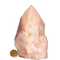 01 Cristal Rosa Pé e Bico Serrado 500 a 1000g 12cm Tipo B 01 Cristal Rosa Pé e Bico Serrado 500 a 1000g 12cm Tipo B