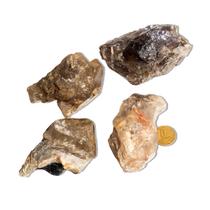 01 Elestial Jacaré Pedra Natural 100 a 150g 6 a 9cm Tipo C 01 Elestial Jacaré Pedra Natural 100 a 150g 6 a 9cm Tipo C