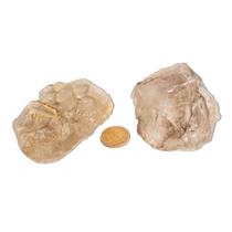 01 Elestial Jacaré Pedra Natural 150 a 200g 6 a 9cm Tipo B 01 Elestial Jacaré Pedra Natural 150 a 200g 6 a 9cm Tipo B