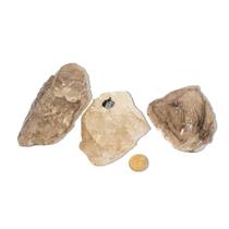 01 Elestial Jacaré Pedra Natural 250 a 300g 6 a 9cm Tipo B 01 Elestial Jacaré Pedra Natural 250 a 300g 6 a 9cm Tipo B