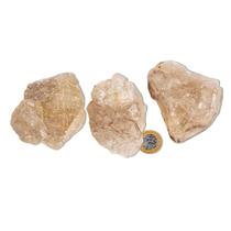 01 Elestial Jacaré Pedra Natural 250 a 300g 6 a 9cm Tipo C 01 Elestial Jacaré Pedra Natural 250 a 300g 6 a 9cm Tipo C