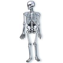 01 Esqueleto Articulado Caveira Decoração Festa Halloween