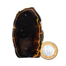01 Geodo de Ágata Preta 200 a 250g 7 a 12cm Classe B 01 Geodo de Ágata Preta 200 a 250g 7 a 12cm Classe B