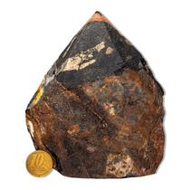 01 Ônix Preto Pé e Bico Serrado 500 a 1000g 10 a 12cm Tipo B