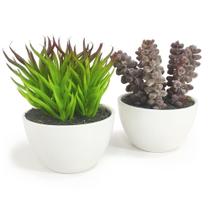 02 Arranjos de Suculentas Artificiais Mistas no Vasinho 12cm