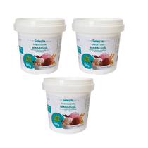 03 Base Sabor Fabricação Sorvetes Geladinhos Vários Sabores Alto Rendimento Selecta