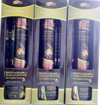 03 Kits Capilar Broto De Bambu E Óleo De Cartamo Alquimia - Alquimia Cosmeticos 03 Kits Capilar Broto De Bambu E Óleo De Cartamo Alquimia - Alquimia Cosmeticos