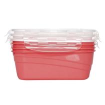 03 Pote Hermetico Retangular Para Alimentos Freezer E Microondas 1000ml Colors - Lp House