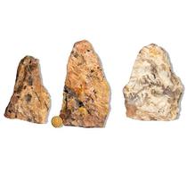 03 Turmalina Preta no Feldspato Pé Serrado 1 a 2Kg +-17cm C