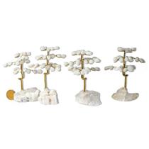 04 Árvore Felicidade Quartzo Leitoso na Drusa Pedra Natural 04 Árvore Felicidade Quartzo Leitoso na Drusa Pedra Natural