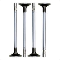 04 válvulas motor admissão transit 2.4 duratec 2009/2014 - 109851 - va324800