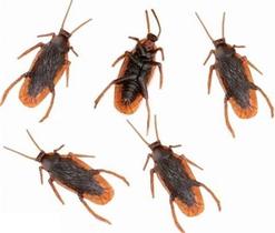 05 Baratas Brinquedo Borracha Pegadinha Assustar Amigos