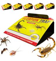 05 Unid Armadilha Adesiva Escorpião Barata Aranha Colly Scorpion Trap