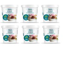 06 Base Sabor Fabricação Sorvetes Geladinhos Vários Sabores Alto Rendimento Selecta