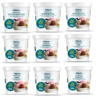 06 Base Sabor Fabricação Sorvetes Geladinhos Vários Sabores Alto Rendimento Selecta