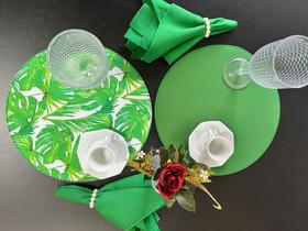 06 sousplats dupla face jogo americano estampado liso 06 sousplats dupla face jogo americano estampado liso