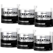 06 Unid Creatina Monohidratada 100% Pura 300g ProVitalli - Creatine Importada