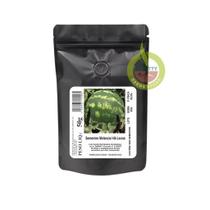 1.000 Sementes De Melancia Hibrida Leona