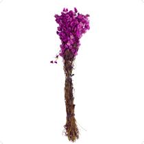 1 Buquê Margarida Natural Roxo Desidratado Arranjo Decoração Casa