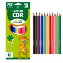 1 Caixa Lápis de Cor Leonora Formato Sextavado Linha Eco Atóxico Material Infantil