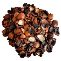 1 Casca De Macadâmia Para Orquídeas 3 Litros 1 Casca De Macadâmia Para Orquídeas 3 Litros