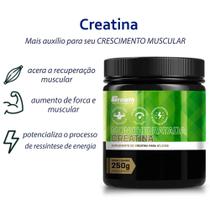 1 CREATINA MONOHIDRATADA 250G - sem sabor