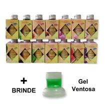 1 Difusor Palito Perfumado Ambiente 100ml Vareta Luz Aromas Aromatizante Vareta - Envio Já