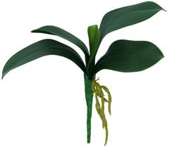 1 Folha de Orquídea Permanente Verde Luxo Phalaenopsis 27 cm - La Caza Store